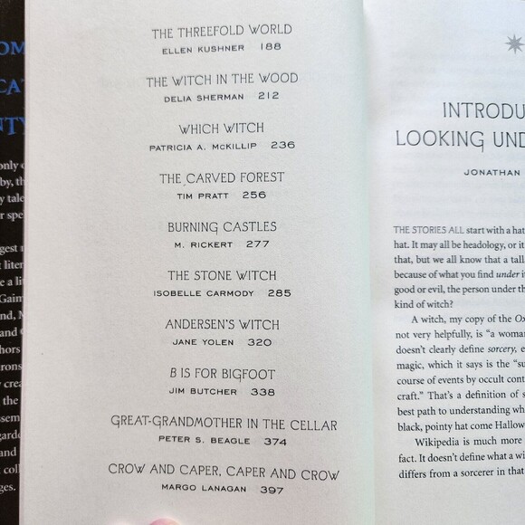 Urban Fantasy / Magic 2 Book Lot Short Stories Butcher Green Richardson Gaiman - Picture 9 of 10